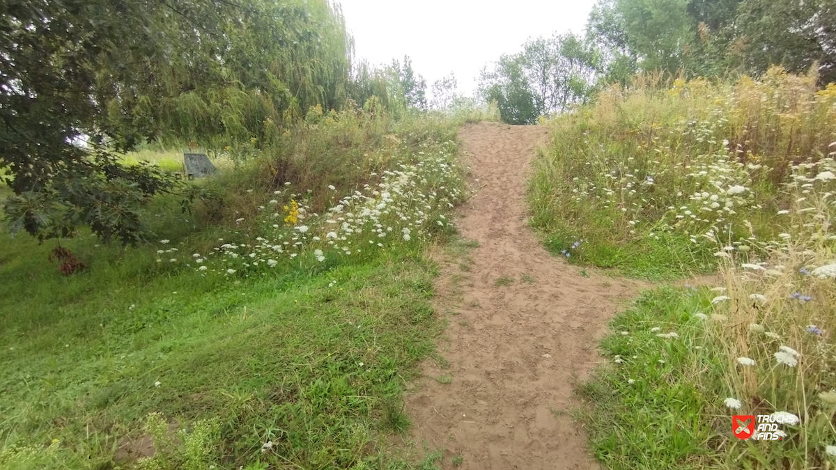 Sint-Gillis-Waas skatepark